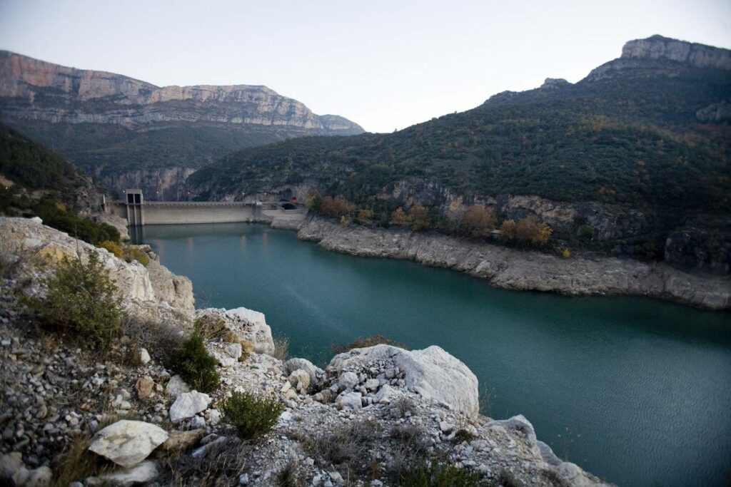Día de Acción Contra los Grandes Embalses